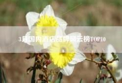3月国内酒店品牌风云榜TOP10