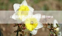3月国内酒店品牌风云榜TOP10
