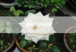 最新伤感说说