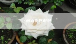 最新伤感说说