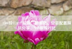 1500捡ECC“垃圾”翻车记、安装配置踩坑分享、NAS系统对比