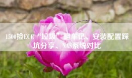1500捡ECC“垃圾”翻车记、安装配置踩坑分享、NAS系统对比