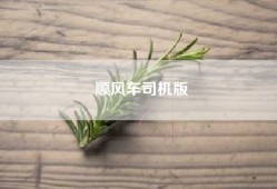 顺风车司机版
