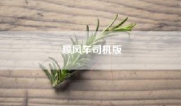顺风车司机版