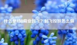 什么是B站商业起飞？起飞投放怎么做