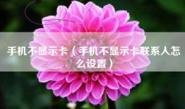 手机不显示卡（手机不显示卡联系人怎么设置）