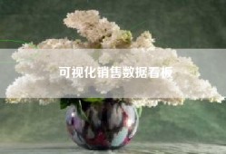 可视化销售数据看板