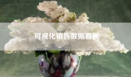 可视化销售数据看板