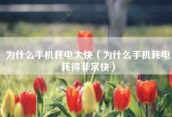 为什么手机耗电太快（为什么手机耗电耗得非常快）