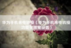 华为手机来电转接（华为手机来电转接功能在哪里设置）