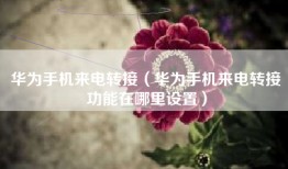 华为手机来电转接（华为手机来电转接功能在哪里设置）