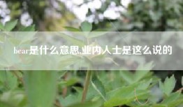 bear是什么意思,业内人士是这么说的