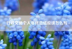 行政文员个人年终总结应该怎么写