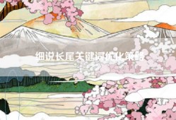 细说长尾关键词优化策略