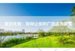 竞价托管：如何让你的广告成为赢家
