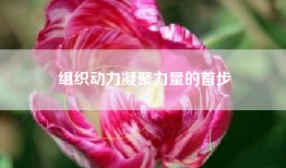 组织动力凝聚力量的首步