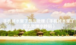 手机掉水里了怎么处理（手机掉水里了怎么处理小妙招）