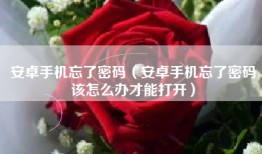 安卓手机忘了密码（安卓手机忘了密码该怎么办才能打开）