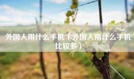 外国人用什么手机（外国人用什么手机比较多）