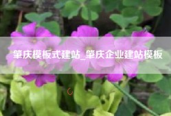 肇庆模板式建站_肇庆企业建站模板