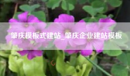 肇庆模板式建站_肇庆企业建站模板
