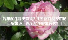 汽车配件哪里有买？手机配件批发市场进货渠道「汽车配件哪里有买？」