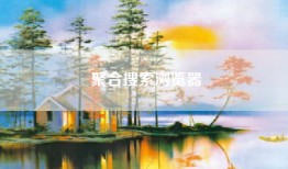 聚合搜索浏览器