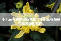 手机远程控制电脑桌面（手机远程控制电脑桌面的软件）