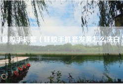 硅胶手机套（硅胶手机套发黄怎么洗白）