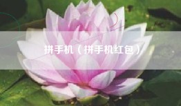 拼手机（拼手机红包）