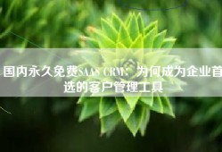 国内永久免费SAAS CRM：为何成为企业首选的客户管理工具