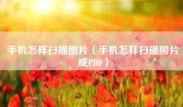 手机怎样扫描图片（手机怎样扫描图片成PDF）