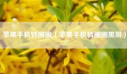 苹果手机转圈圈（苹果手机转圈圈黑屏）