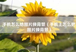 手机怎么给图片换背景（手机上怎么把图片换背景）