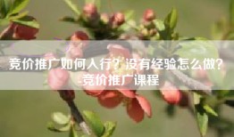 竞价推广如何入行？没有经验怎么做？ -竞价推广课程