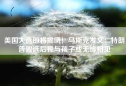 美国大选即将揭晓！马斯克发文：特朗普败选后我与孩子或无缘相见