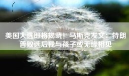 美国大选即将揭晓！马斯克发文：特朗普败选后我与孩子或无缘相见