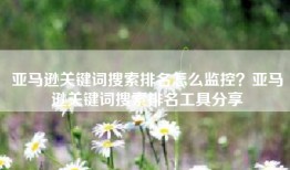 亚马逊关键词搜索排名怎么监控？亚马逊关键词搜索排名工具分享