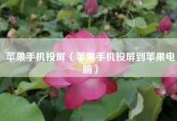 苹果手机投屏（苹果手机投屏到苹果电脑）