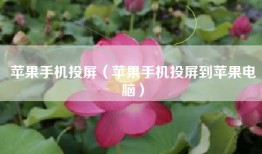 苹果手机投屏（苹果手机投屏到苹果电脑）