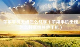 苹果手机无线怎么共享（苹果手机无线怎么共享给其他手机）