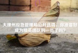 大理州应急管理局公开选调，你准备好成为精英团队的一员了吗？
