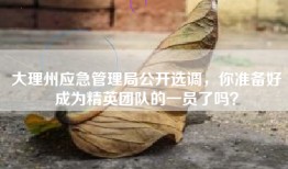 大理州应急管理局公开选调，你准备好成为精英团队的一员了吗？