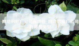 网络的推广公司有哪些_网络的推广公司有哪些类型