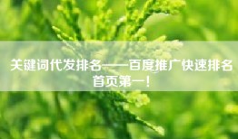 关键词代发排名——百度推广快速排名首页第一！