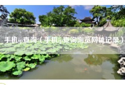 手机ip查询（手机ip查询浏览网址记录）