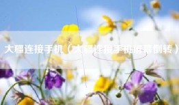 大疆连接手机（大疆连接手机屏幕倒转）