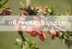 行政人事试用期工作总结怎么写