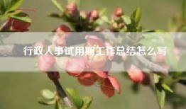 行政人事试用期工作总结怎么写