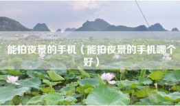 能拍夜景的手机（能拍夜景的手机哪个好）